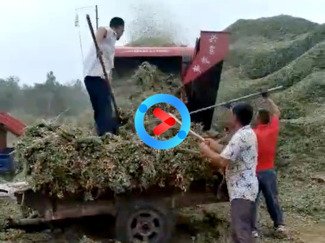 現場案例